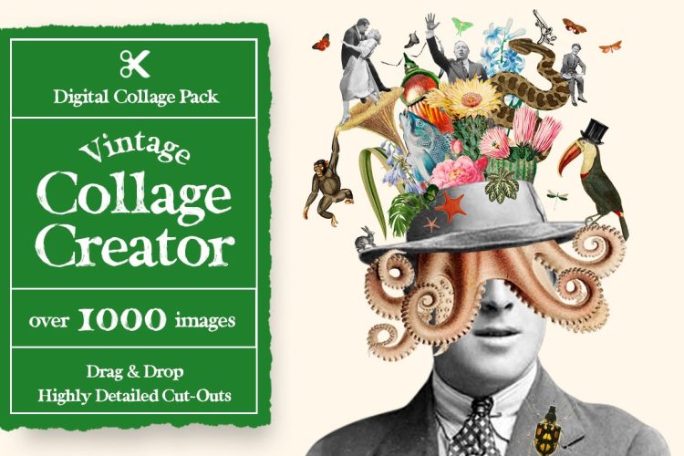 Vintage Collage Creator 1000+ Images 1000+潮流创意复古人物花卉植物动物剪纸拼贴png免抠插画图片素材