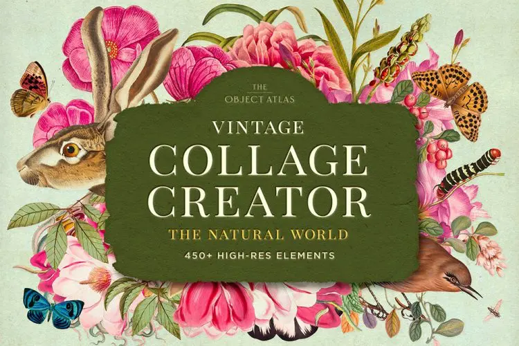 Vintage Nature Collage Creator 450款复古自然花卉植物动物纸张纹理拼贴手绘插图webp免抠图片素材