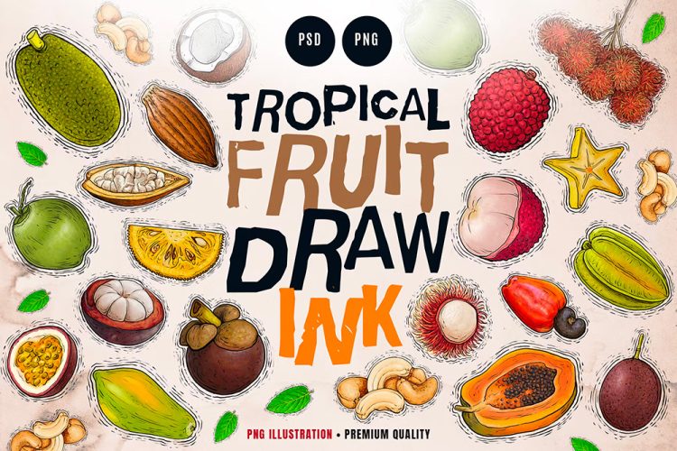 Tropical Fruit Illustration 2 10种切开的热带水果插图插画图片20png免抠图国外设计素材2