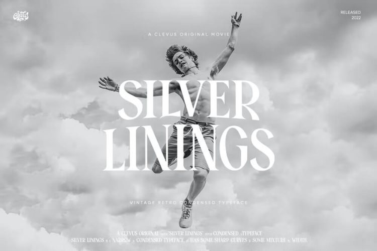 Silver Linings 80年代经典时尚复古品牌logo海报杂志画册排版标题衬线英文字体包