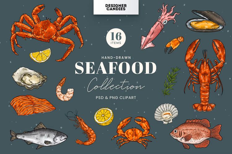 Seafood Clipart Illustrations 16张海鲜刺身美食手绘矢量剪贴画插图设计ps分层&png免扣图片设计素材