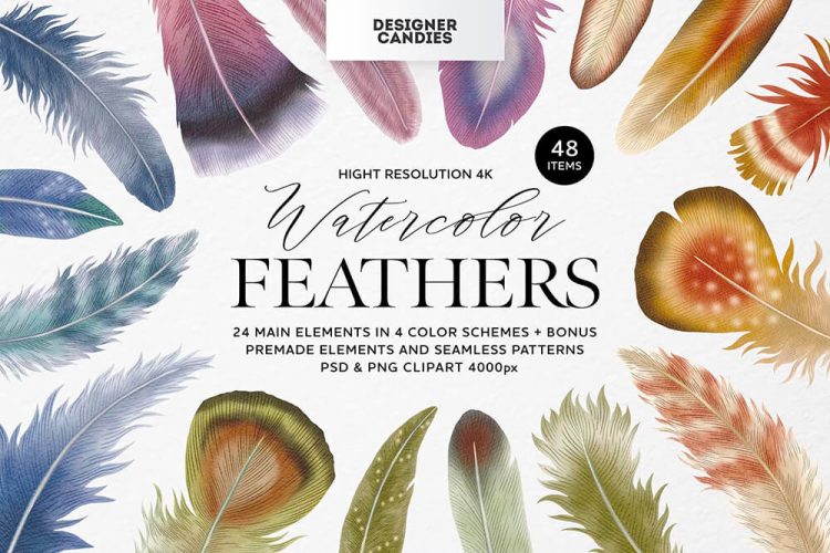 Feathers Watercolor Clipart 波西米亚乡村水彩优雅羽毛插图无缝拼接图案插画png免抠图片素材