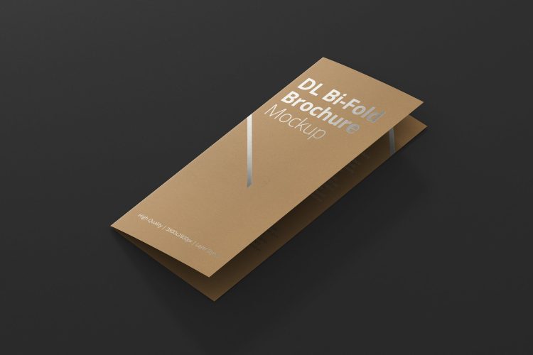 Bi-Fold Brochure Mock-Up 长款折页宣传册多角度模拟效果展示样机