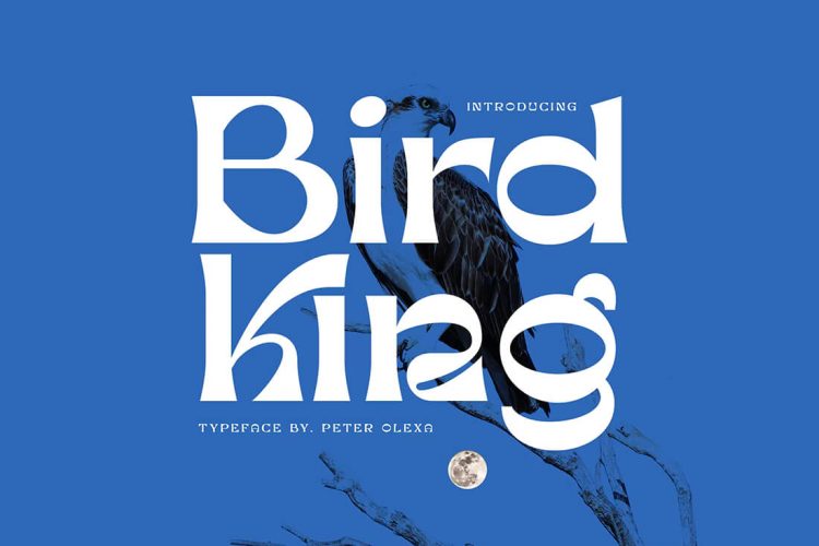 Bird King Retro Serif 潮流复古时尚酸性逆反差潮牌logo海报画册封面标题艺术英文字体包