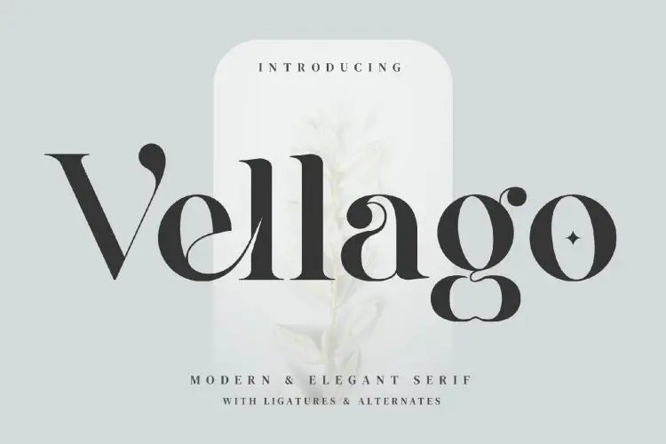 Vellago 现代优雅时尚品牌logo海报杂志请柬排版标题装饰衬线英文体字体包