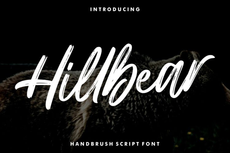 Hillbear – Handbrush Script Font 潮流毛笔书法手写体笔刷logo标识杂志请帖海报标题草书英文字体