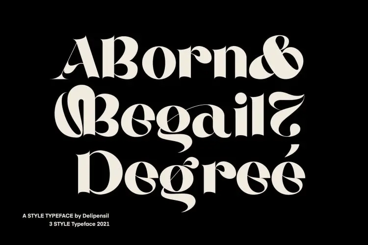 ABORN Modern Serif / Vintage Font Aborn优雅时尚复古花体字潮流海报请柬封面标题装饰衬线英文字体