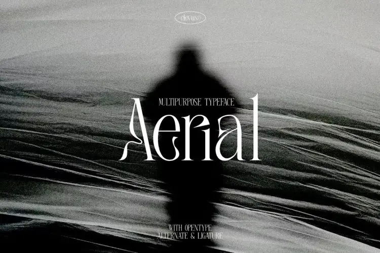 Aerial Multipurpose Typeface Aerial优雅奢华时尚复古扭曲酸性潮牌标识海报标题装饰英文字体包
