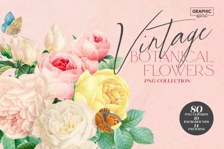 Aesthetic Vintage Flower PNG Clipart 80款复古宫廷手绘玫瑰花卉插图插画无缝拼接图案png免抠图片素材