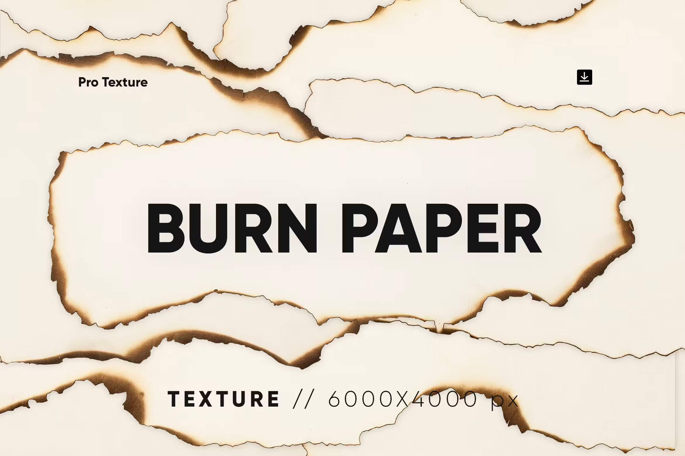 10 Burn Paper Textures 10张纸张边缘烧毁撕裂背景图片png免抠图设计素材