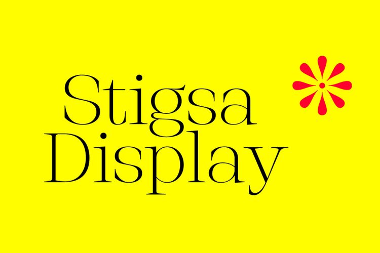 Stigsa Display Font Family  35款复古锋利细腻衬线英文字体家族 Stigsa Display