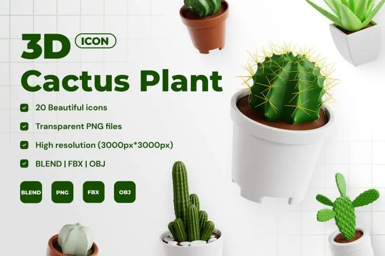 Cactus Plant 3D Icon Set  20款仙人掌植物盆栽盆景插图3D图标icon设计素材webp免抠图片