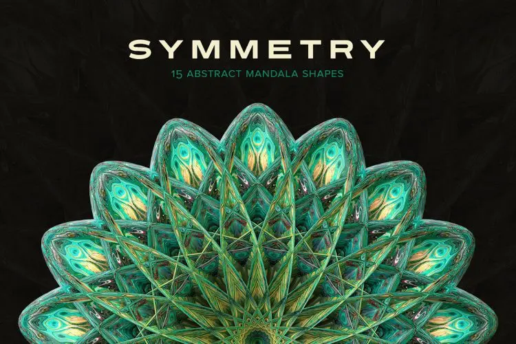 Symmetry 15 Abstract Mandala Shapes  15款宫廷艺术抽象曼陀罗花卉万花筒奢华装饰背景webp免抠图片素材