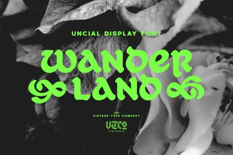 Wanderland Display Font 复古老式酸性服装标签贴纸海报标题LOGO徽标设计PS手写英文字体安装包