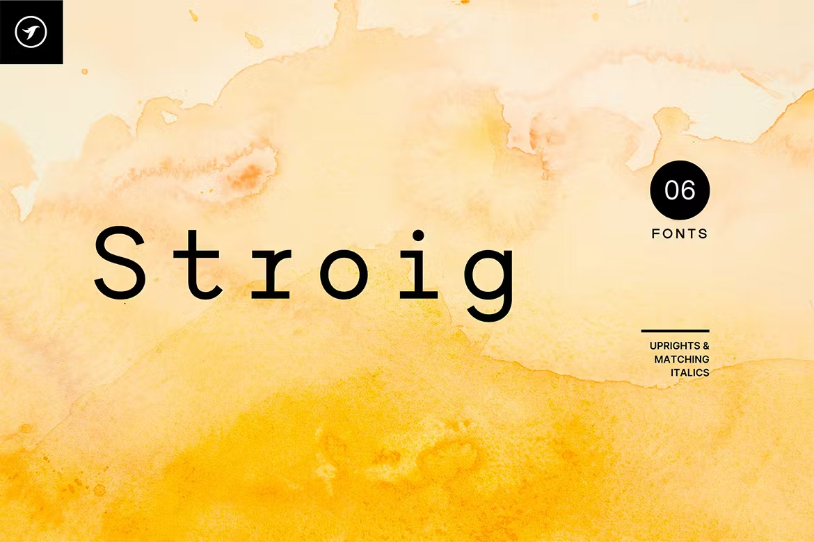 STROIG – Hybrid Urbanist Font Family 现代时尚品牌标识广告杂志画册封面标题衬线英文字体家族