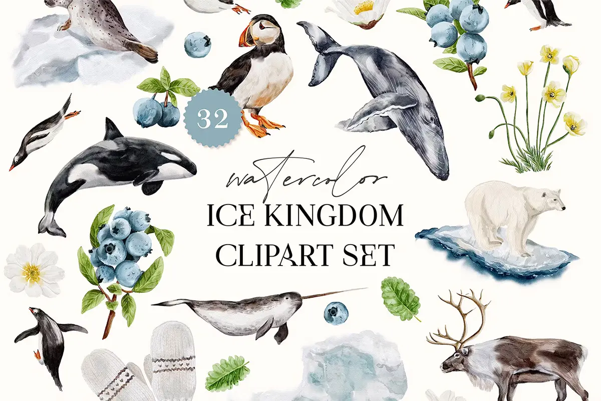 Winter Watercolor Illustrations Clip Art  32款手绘水彩海洋动物插图插画webp免抠图设计素材