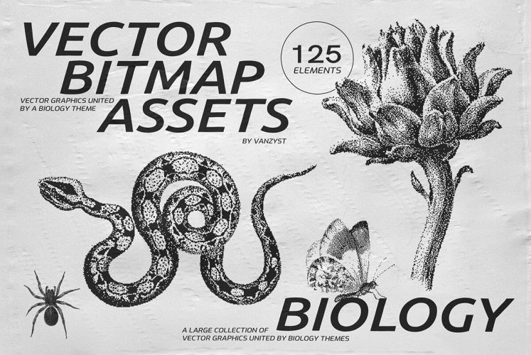 125 Vector Bitmap Assets. Biology  125款潮流复古低保真野生动物昆虫植物骨骼化石生物插画矢量素材