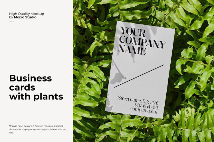 Business Card Mockup With Plants Set  9款文艺自然绿叶植物光影名片卡片设计ps样机素材户外展示效果图