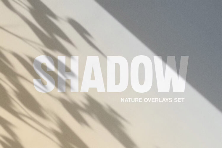 Shadow Overlays Collection  6种植物光影阴影叠加覆盖照片图像ps特效样机素材模板
