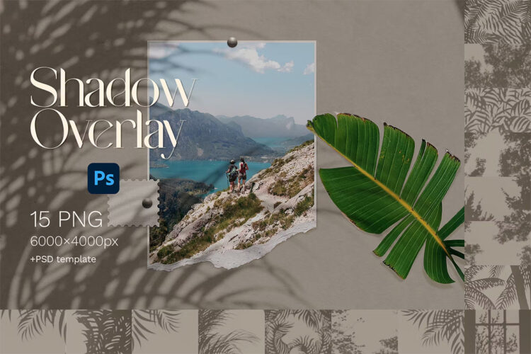 Shadow Overlays 15款自然植物枝叶阴影光影背景叠加图片png免抠图设计素材