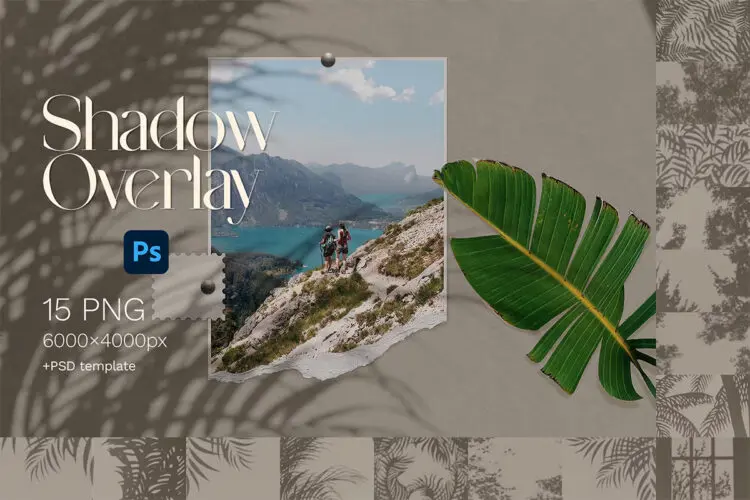 Shadow Overlays 15款自然植物枝叶阴影光影背景叠加图片webp免抠图设计素材