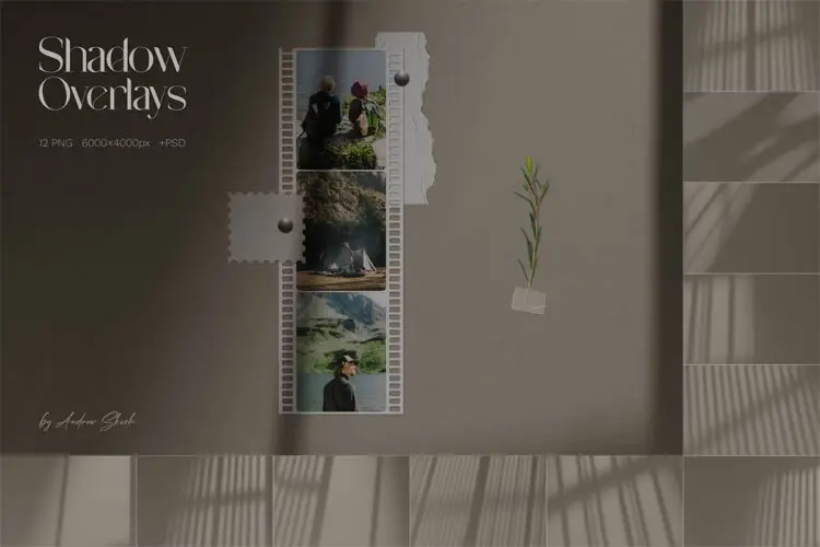 Shadow Overlays 12款自然窗影光影阴影背景图片叠加webp免抠图设计素材