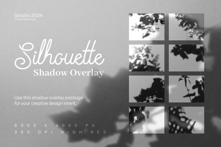 Silhouette Shadow Overlay 自然植物枝叶阴影光影背景叠加图片设计素材
