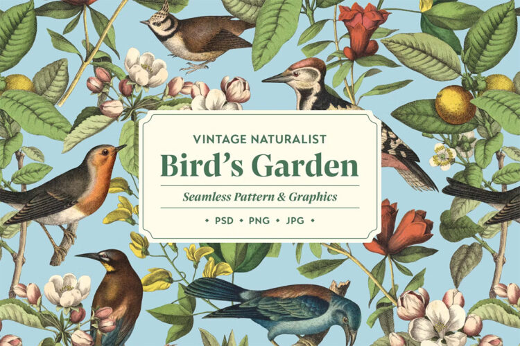 Bird’s Garden Vintage Pattern & Graphics 复古时尚自然植物花卉鸟类手绘插画无缝拼接图案设计png图片素材