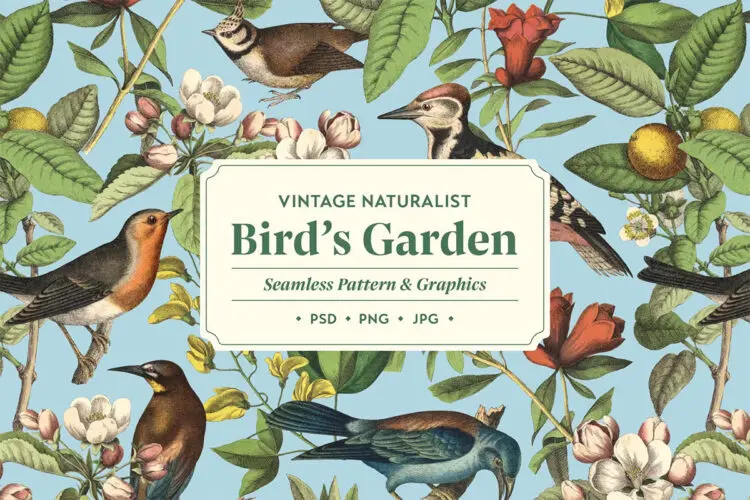 Bird’s Garden Vintage Pattern & Graphics 复古时尚自然植物花卉鸟类手绘插画无缝拼接图案设计webp图片素材