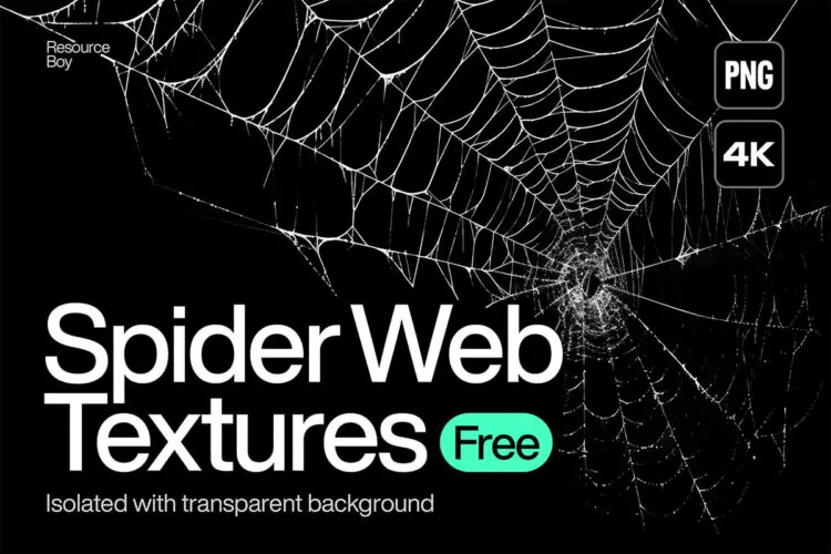 200 Spider Web Textures  200款逼真蜘蛛网纹理背景叠加图片webp免抠图设计素材