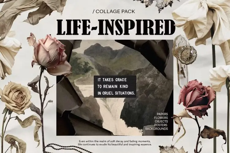 Life-Inspired Mixed Media Collage 优雅复古时尚植物花卉生活美学抽象艺术混合拼贴webp免抠图片素材