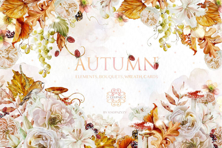 Autumn Collection 水彩秋季植物花朵花卉花环花束装饰元素插图插画png免抠图设计素材