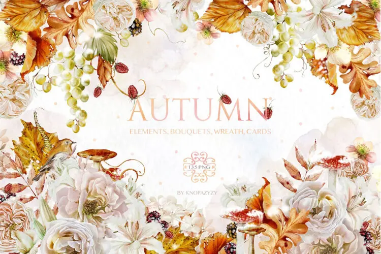 Autumn Collection 水彩秋季植物花朵花卉花环花束装饰元素插图插画webp免抠图设计素材