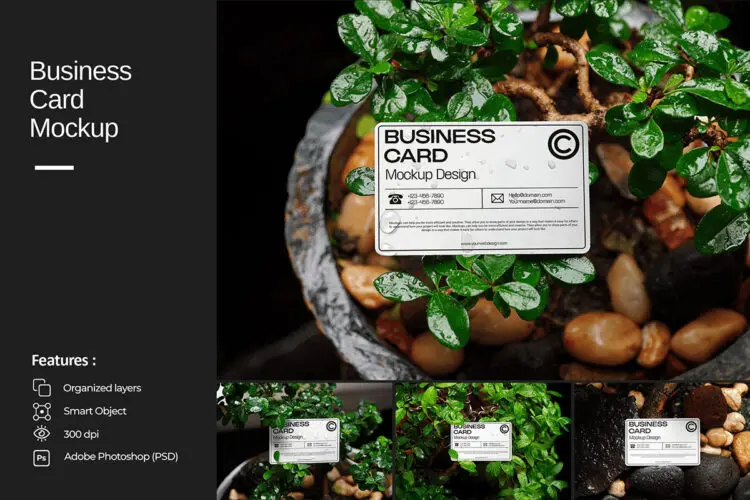 商务名片模型展示设计贴图psd样机素材 Business Card Mockup