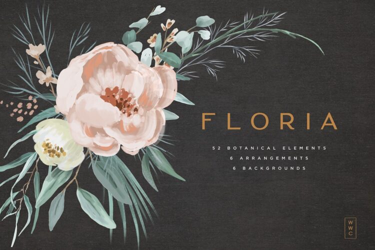 水彩手绘植物枝叶花卉花朵装饰元素png拼贴插图设计素材 Floria – Botanical Elements