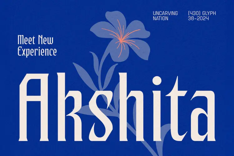 经典优雅复古时尚海报杂志画册请柬封面标题装饰英文字体 Akshita Display Font