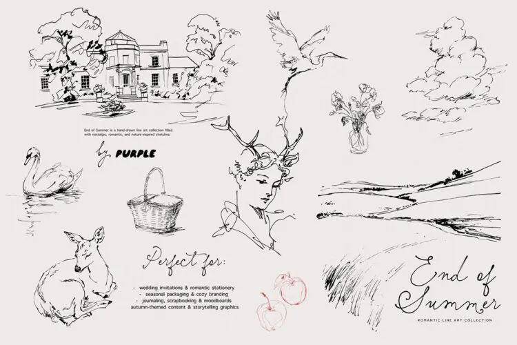 60款自然花卉植物动物钢笔速写手绘草图手稿插图插画ai矢量素材 End of Summer Line Art Collection