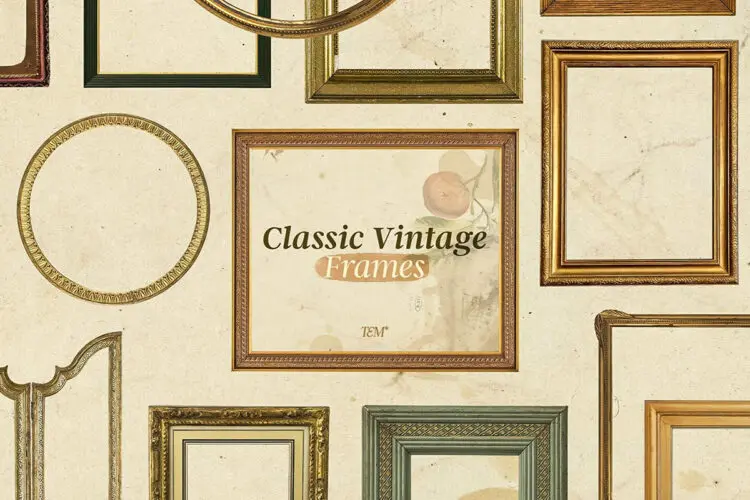 34款复古老式木质金属镀金矩形椭圆相框边框PNG免抠图设计素材 Classic Vintage Frames