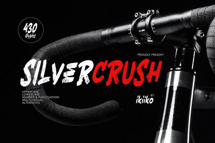现代优雅的杂志封面广告手写英文字体设计 Silvercrush – Rough Brush Font