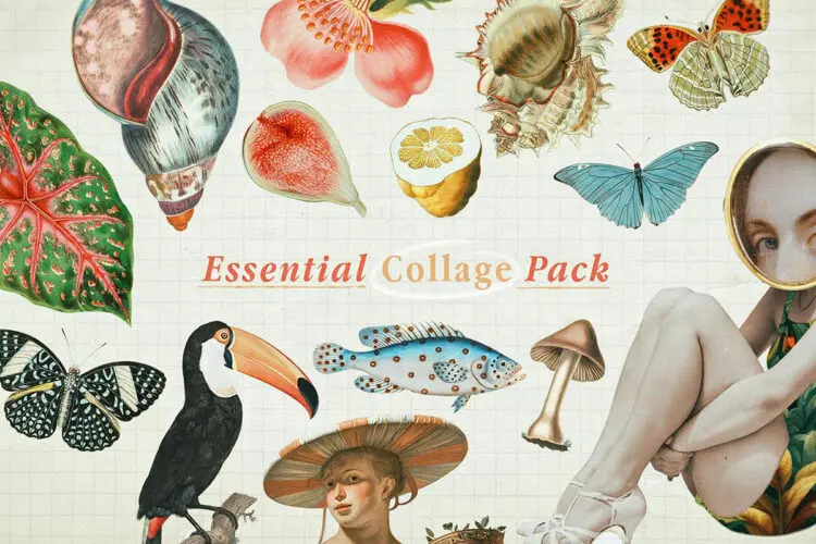 70款复古奇特剪纸风复古海洋生物人物蝴蝶水果雕像webp免抠图设计素材 Essential Collage Pack