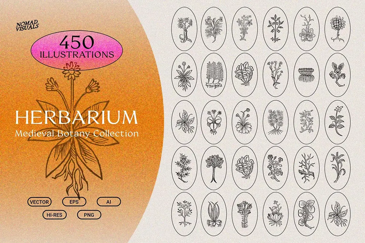 450款中世纪复古手绘草本植物草药手稿插图插画png免抠图片素材 Herbarium Medieval Botany Collection