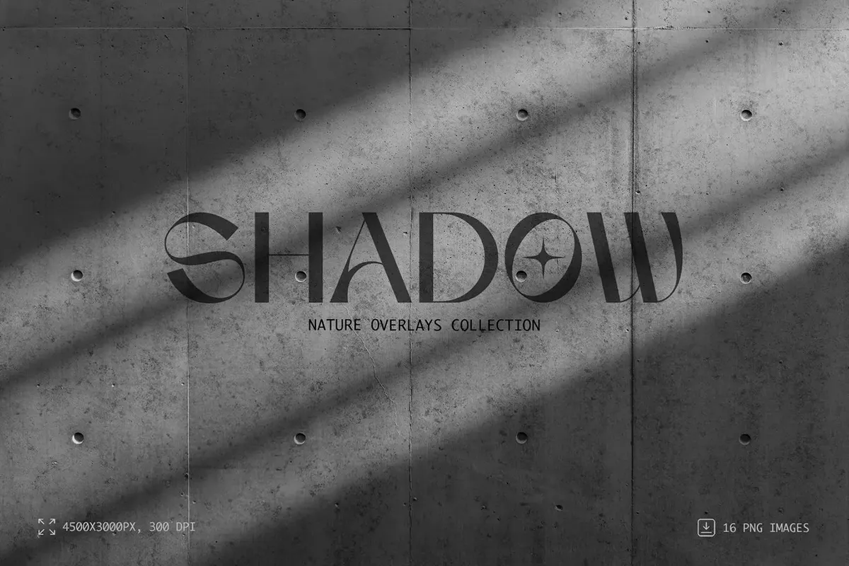 16张自然植物枝叶光影阴影背景叠加图片设计素材 Nature Shadow Overlay Collection