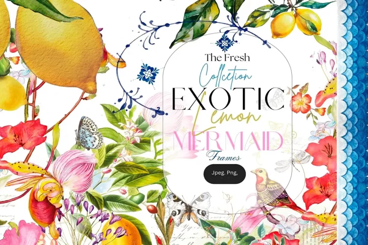 手绘水彩花鸟植物装饰艺术剪切画边框插图插画图片设计素材 Lemon Collection DIY Elements